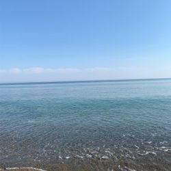 エギング、フラットフィッシュ