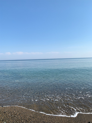 エギング、フラットフィッシュ