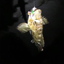 事前調査の後に