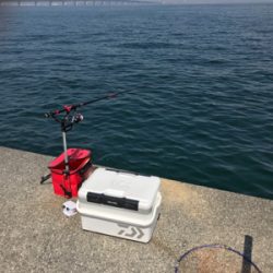 浮き団子でチヌ