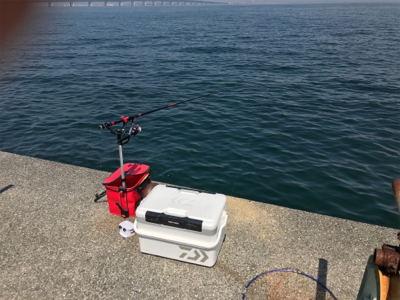 浮き団子でチヌ