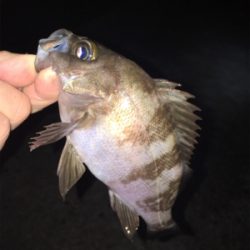 深夜のライトゲーム