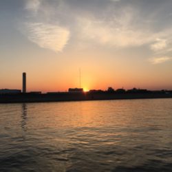 釣り日和でした