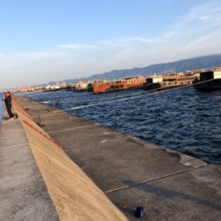 久しぶりのムコイチ