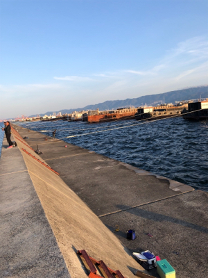 久しぶりのムコイチ