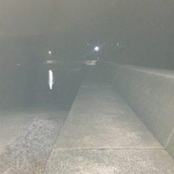 アジング第二弾