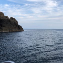 初春アオリで自己ベスト!(^◇^)