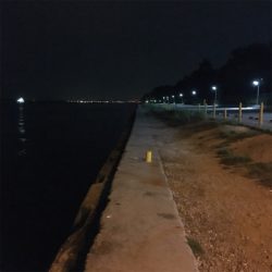 大阪湾奥アジング 舞洲で良型アジ