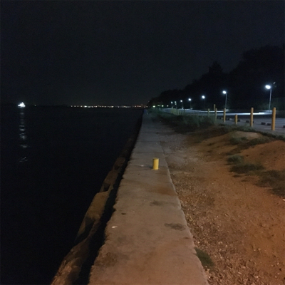 大阪湾奥アジング 舞洲で良型アジ