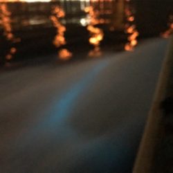 ジギング、初ブリ!