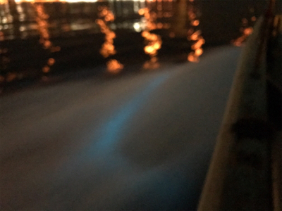 ジギング、初ブリ!