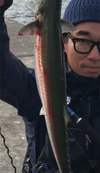 続  沖堤防青物チャレンジ