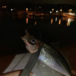 時間を忘れるくらい楽しかった