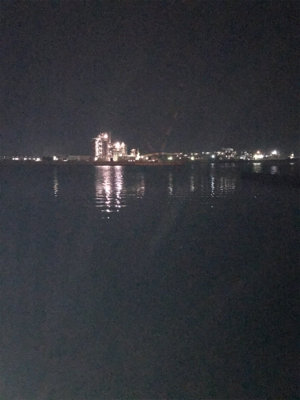 アコウ&ガシラ釣り(^^)