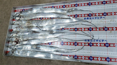 ワイワイ太刀魚ゲーム