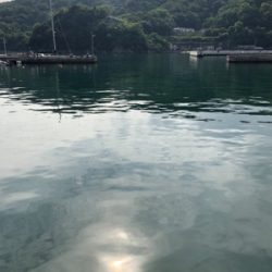 ライトワインド釣果