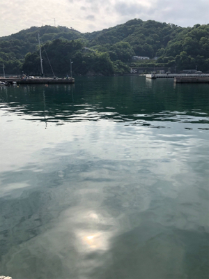 ライトワインド釣果