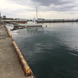 キス釣りのつもりが…渋かった