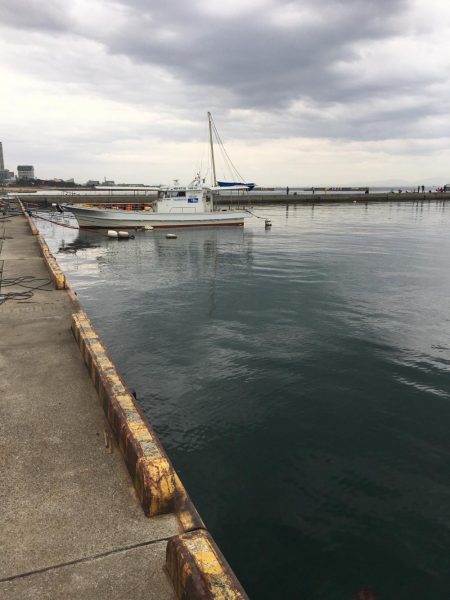 キス釣りのつもりが…渋かった