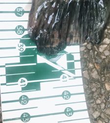 川場キングダムフィッシング