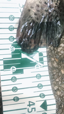 川場キングダムフィッシング