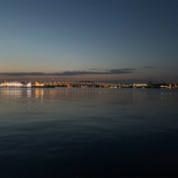 今日もしっかり♫