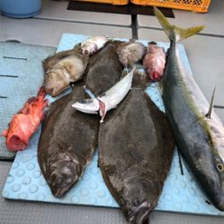 尾鷲 ゴールデンイーグル アンダーベイト