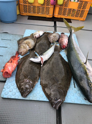 尾鷲 ゴールデンイーグル アンダーベイト