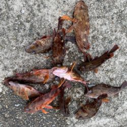 令和初の太刀！