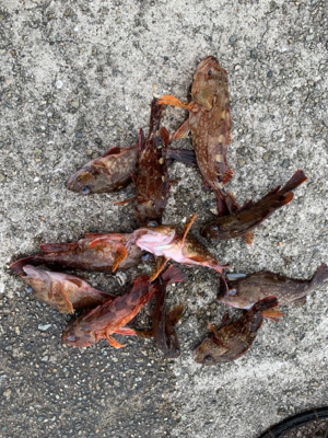 令和初の太刀！