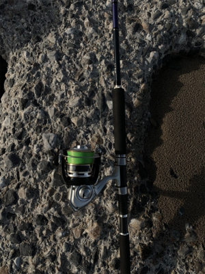 フラットフィッシュ釣果！