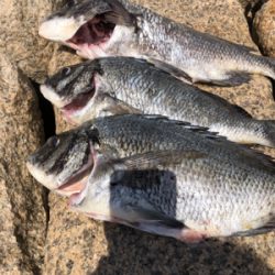 散々からの最高!