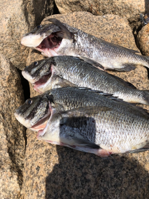 散々からの最高!