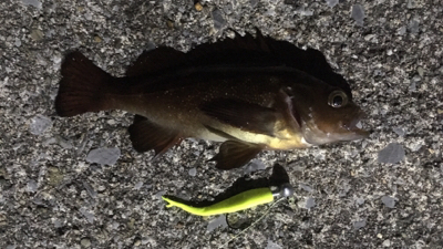 ソーイソイソイお祭りじゃー!