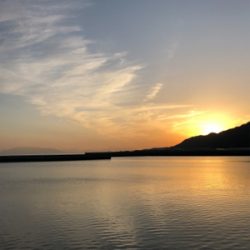 根魚ライトゲーム