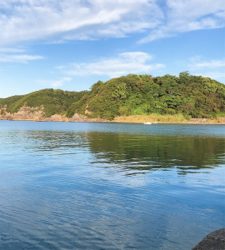 いろんな魚が釣れました