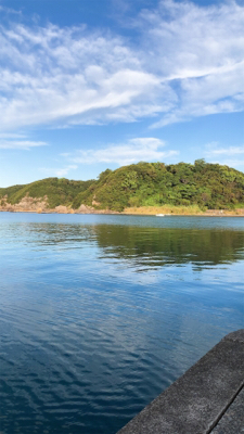 いろんな魚が釣れました