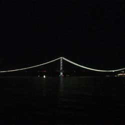 小メバルの活性が高い