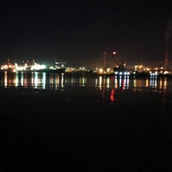 やっと春コウイカGET (^^)/