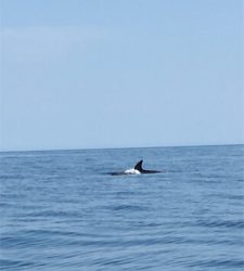 丹後マイボート釣行