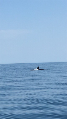 丹後マイボート釣行