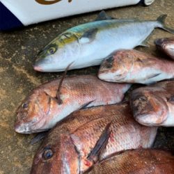 釣堀水宝さんにて