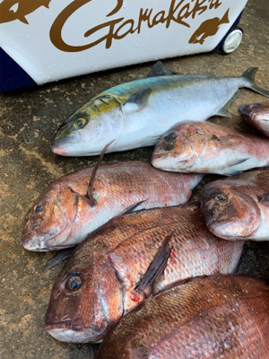 釣堀水宝さんにて