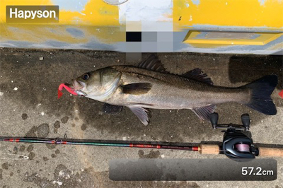 メバルツバスチーバス、アブラメぽろりからの〜