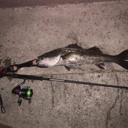 リズムウェーブ