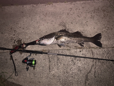 リズムウェーブ