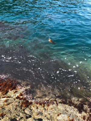 自己記録更新！2kgオーバーGET