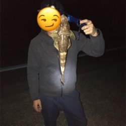 初ショアテンヤ