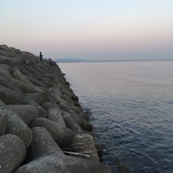 大阪湾奥アジング&ULSJ