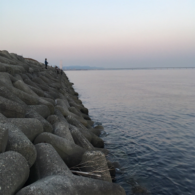 大阪湾奥アジング&ULSJ